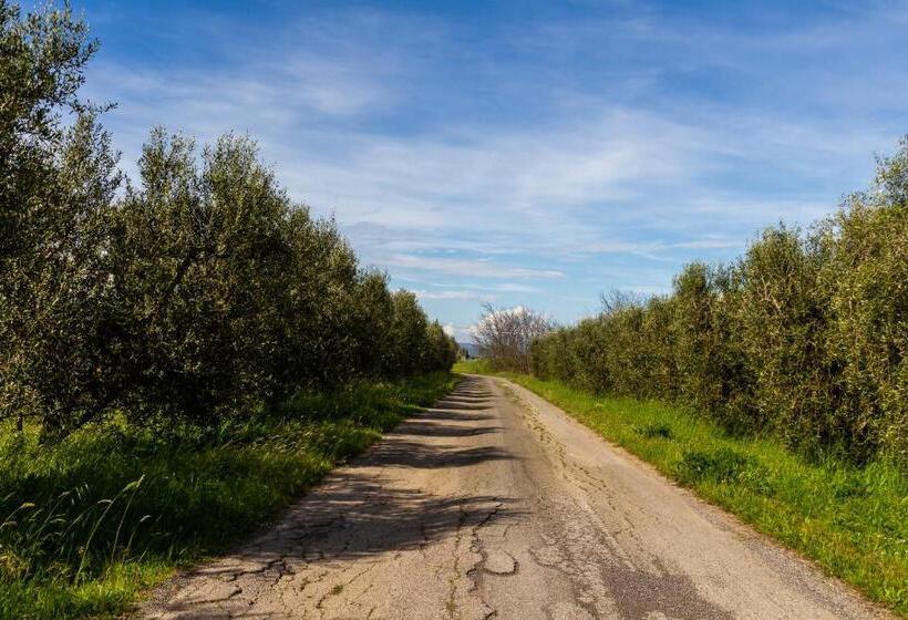 هتل Appartamento Marta