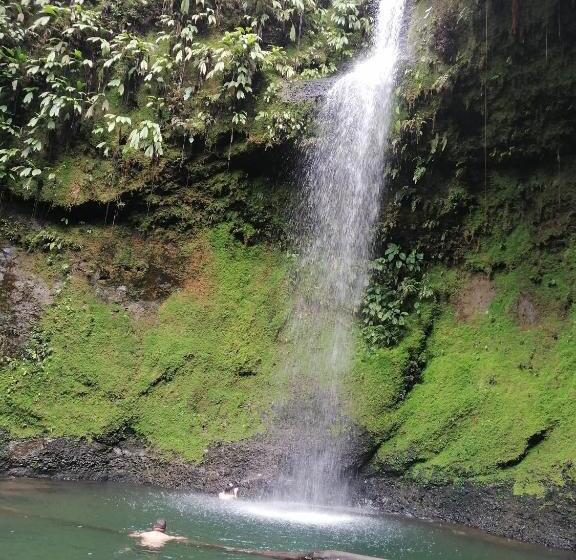 Отель Casa Hospedaje Mayesty