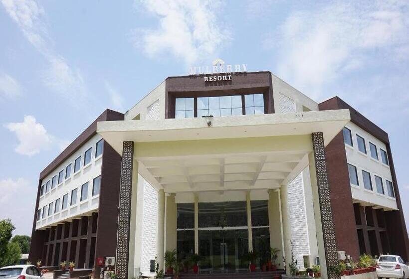 Отель Bamboo Saa Mulberry Resort Pushkar