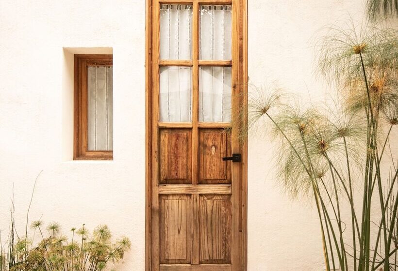 酒店 Orchid House San Miguel De Allende