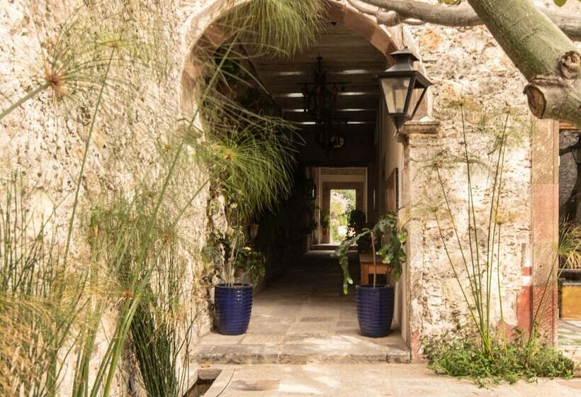 هتل Orchid House San Miguel De Allende