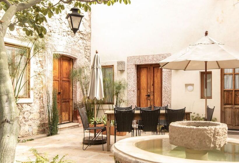 酒店 Orchid House San Miguel De Allende