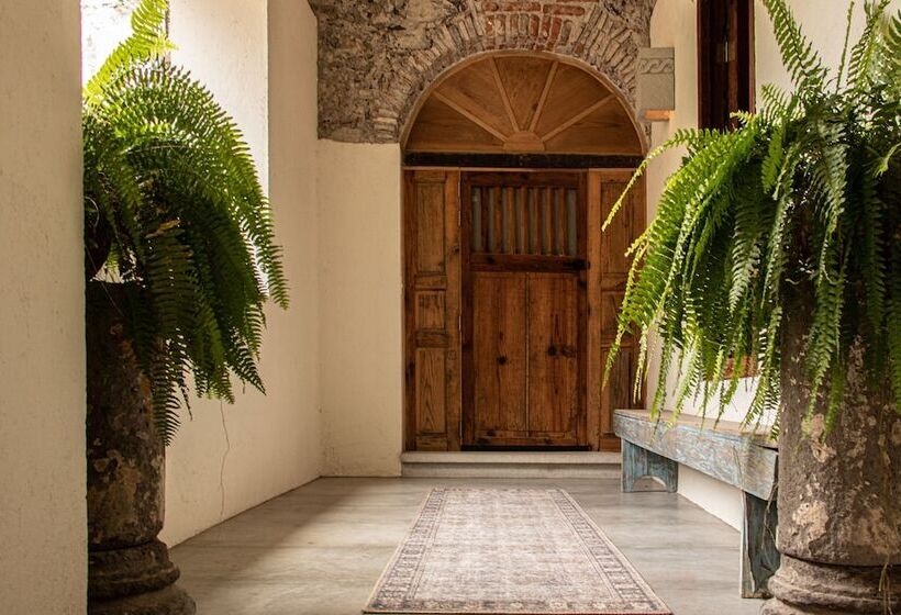 酒店 Orchid House San Miguel De Allende