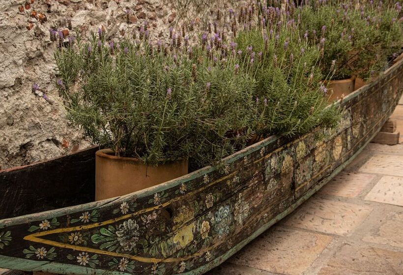 酒店 Orchid House San Miguel De Allende