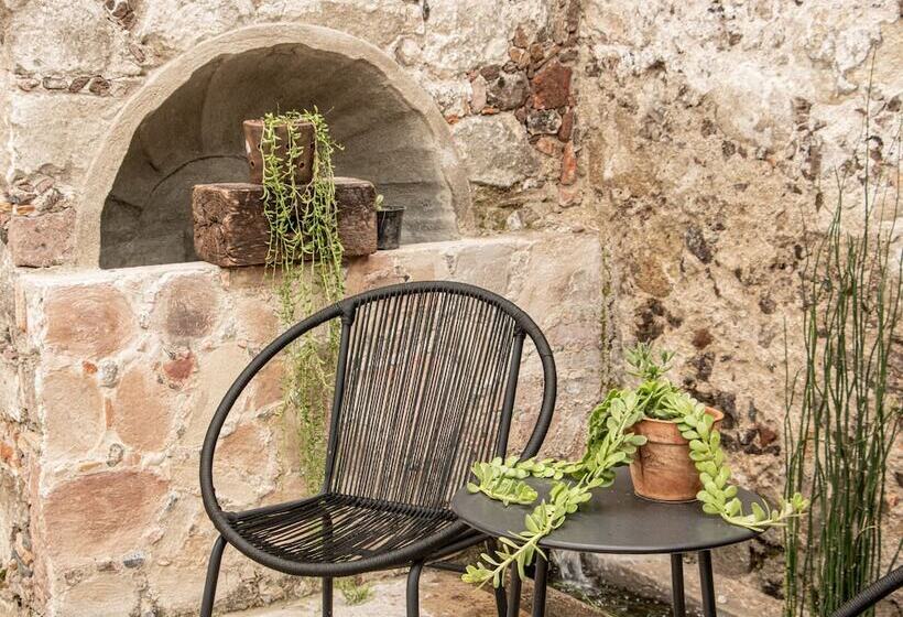 酒店 Orchid House San Miguel De Allende