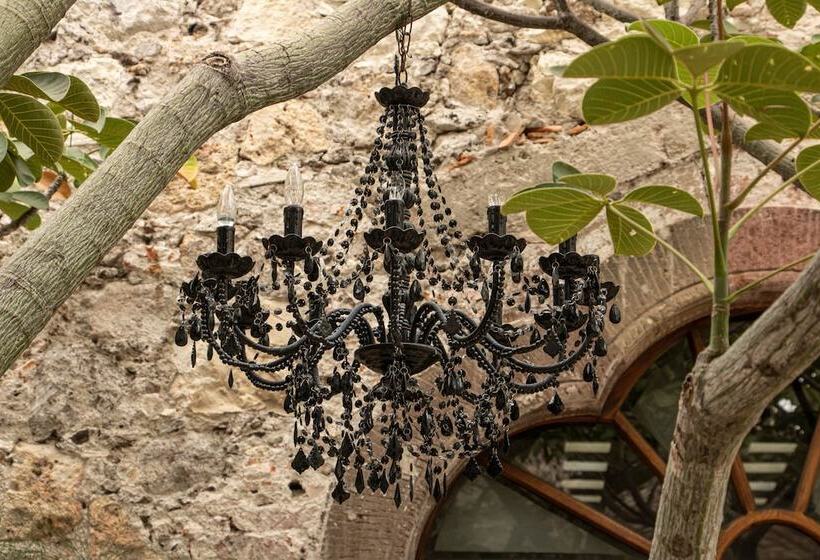 酒店 Orchid House San Miguel De Allende