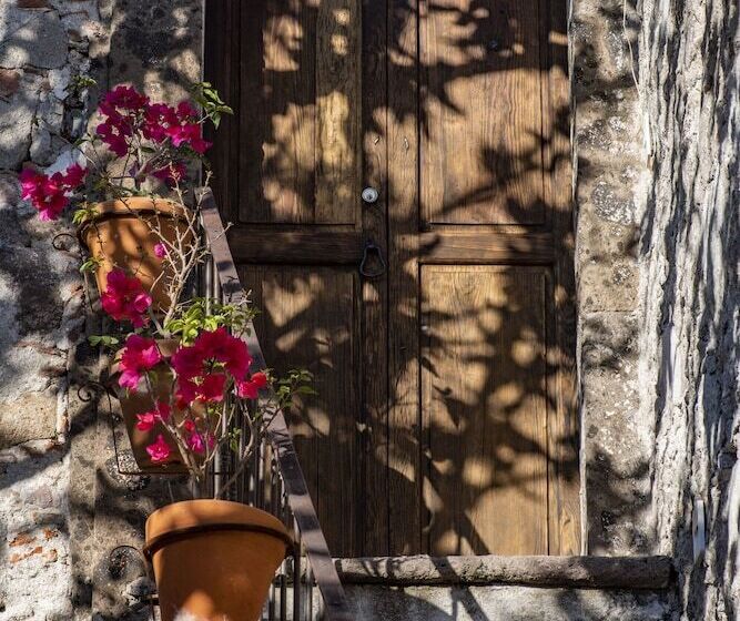 酒店 Orchid House San Miguel De Allende