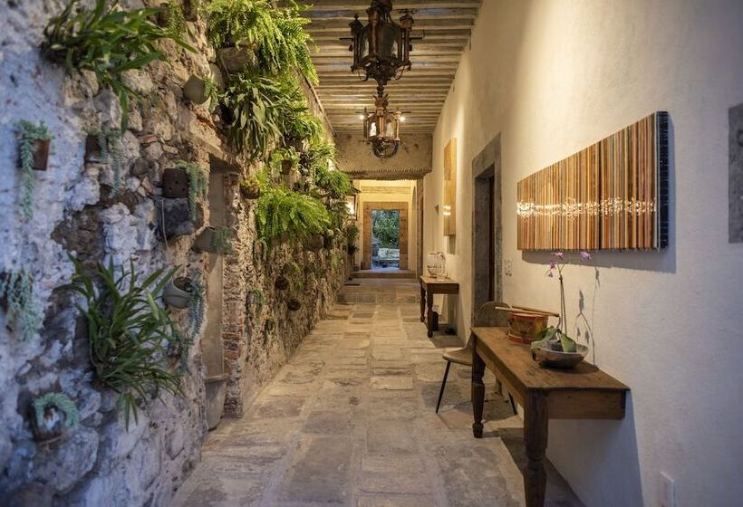 酒店 Orchid House San Miguel De Allende