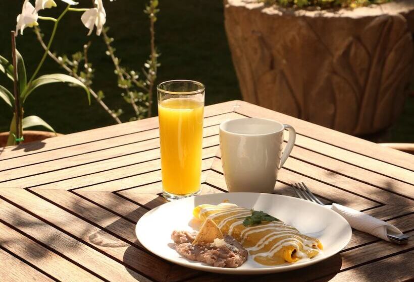 酒店 Orchid House San Miguel De Allende