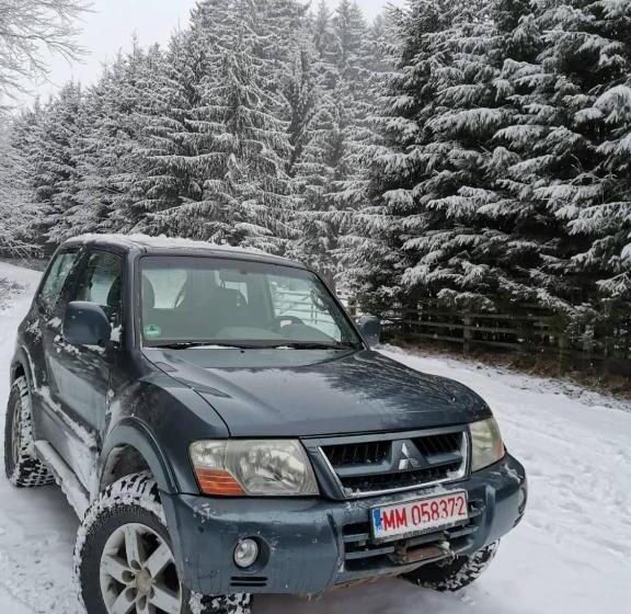 Отель Pensiunea Denisia