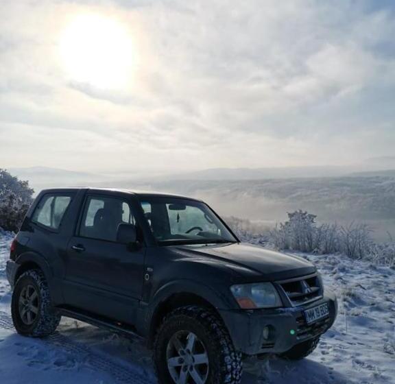 Отель Pensiunea Denisia