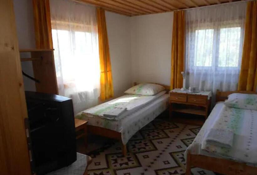 호텔 Pensiunea Denisia