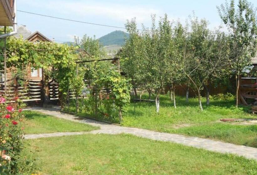 酒店 Pensiunea Denisia