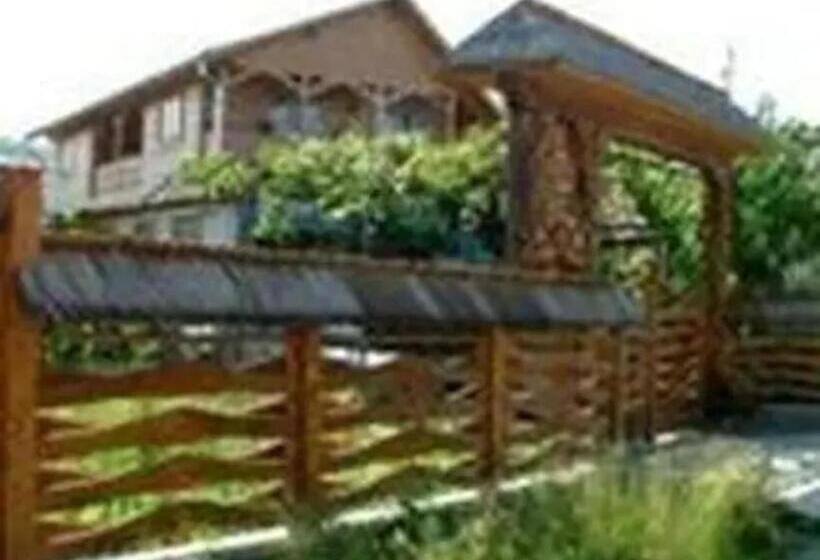 Отель Pensiunea Denisia