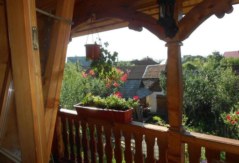 酒店 Pensiunea Denisia