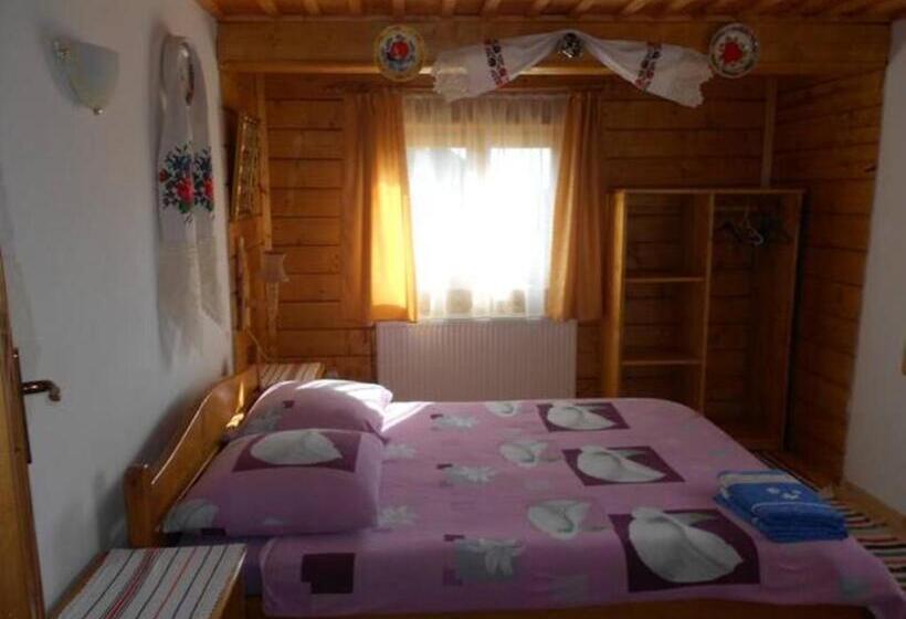 Отель Pensiunea Denisia