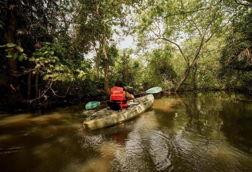 فندق Raalmadu Resort