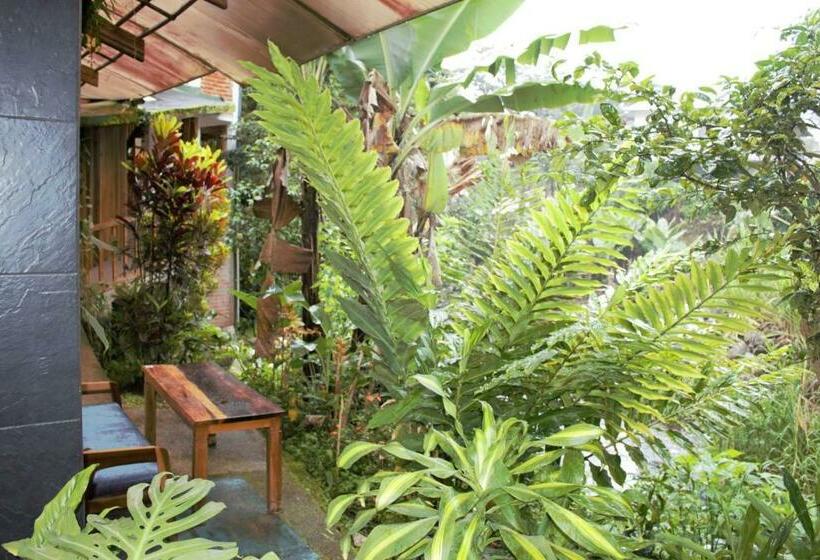 ホテル Zafiro Boutique