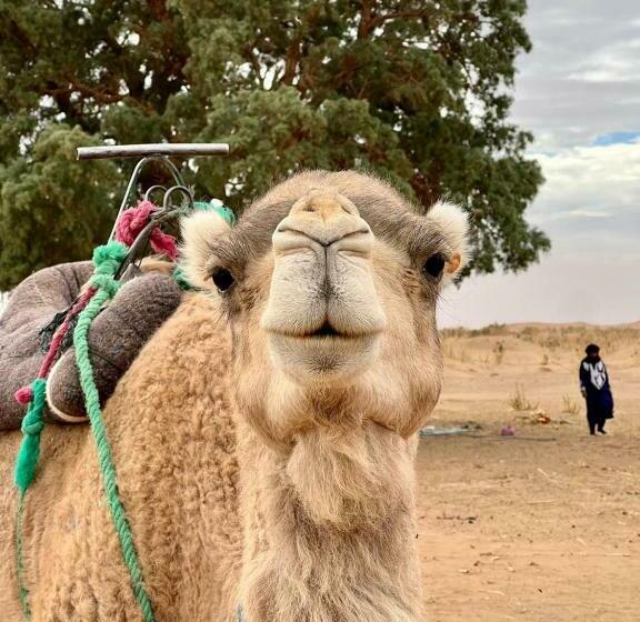 펜션 Erg Chigaga Safari Camp