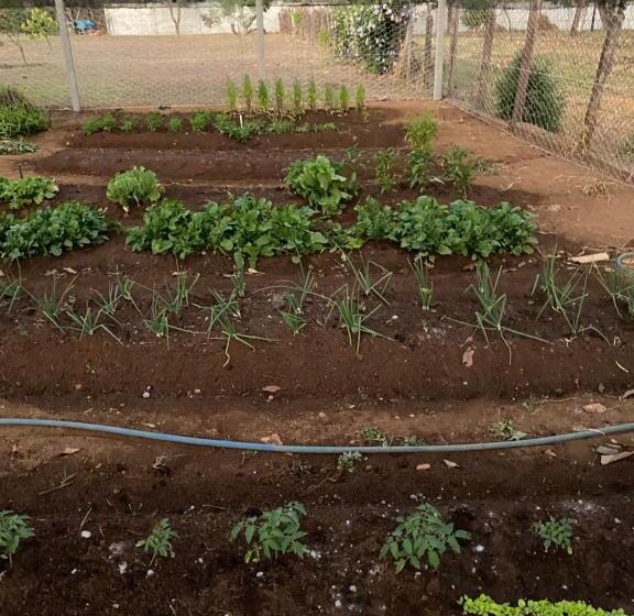 ペンション Villaggio Dos Pássaros