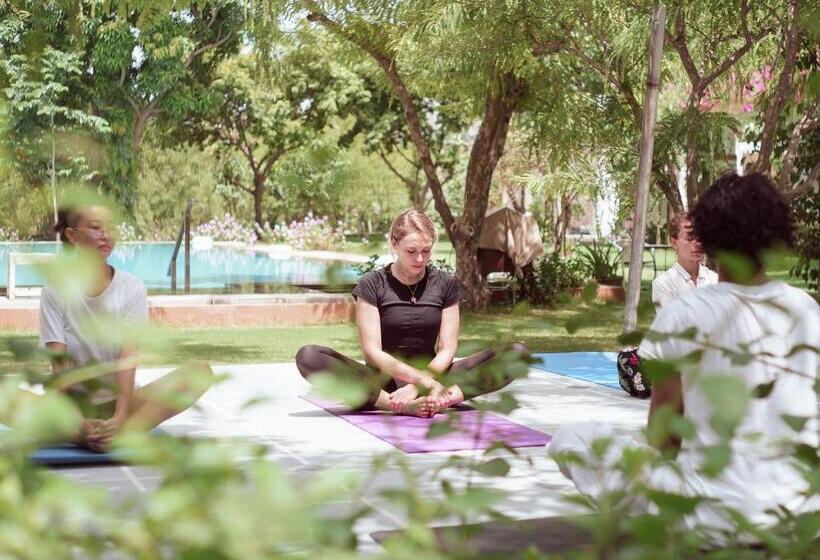 Pushkarorganic   Lux Farm Resort With Pool