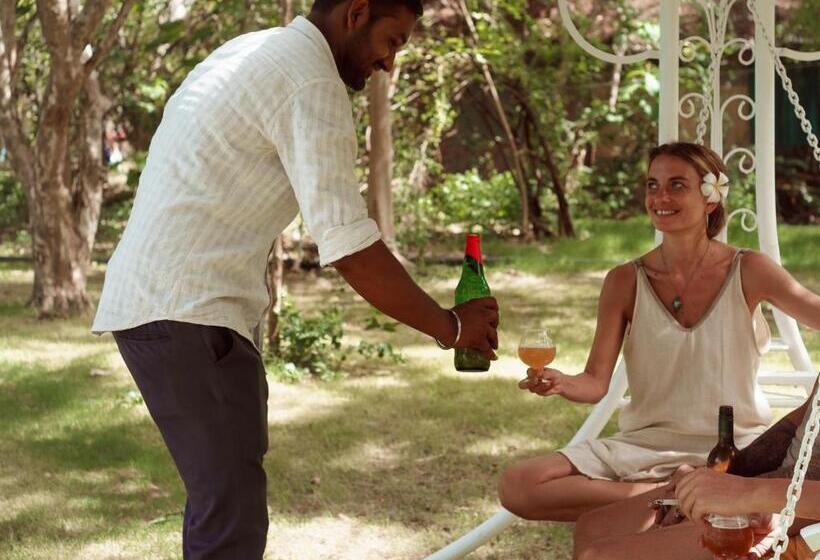 Pushkarorganic   Lux Farm Resort With Pool