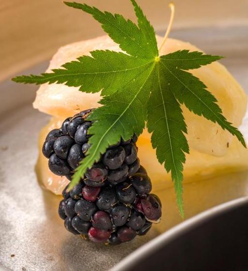 Ryokan 八海 木花館