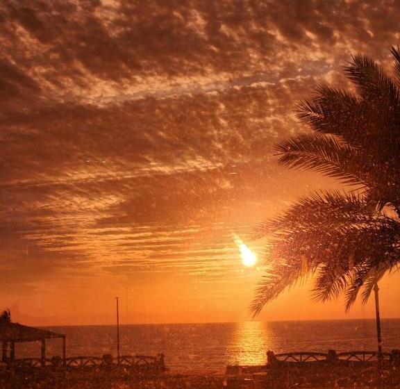 فندق ماس الوجه