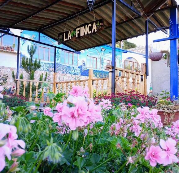 هاستل La Finca Tarma