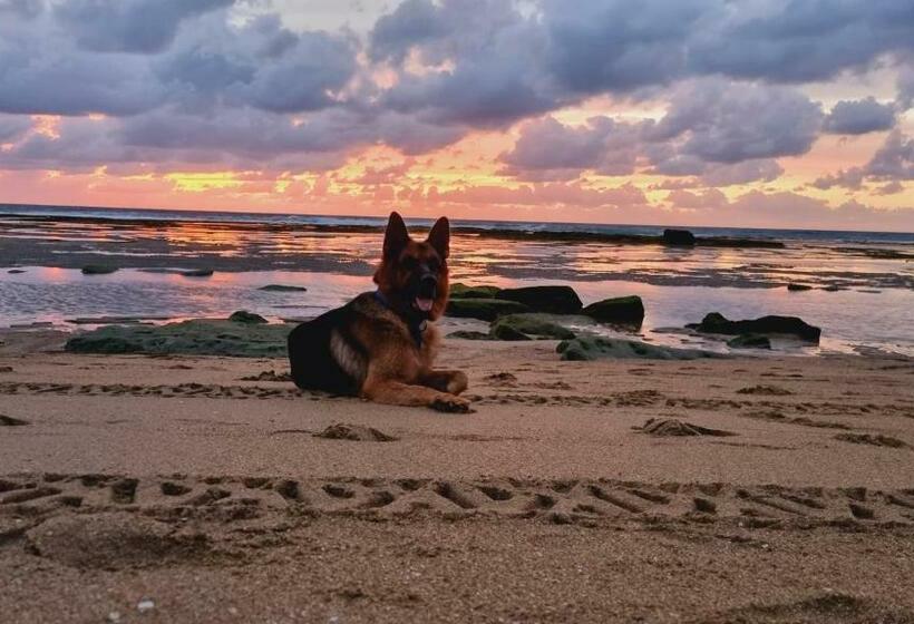 هاستل Mrah Guets House