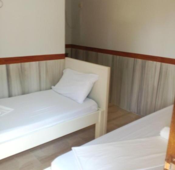 هاستل Sealey S Inn