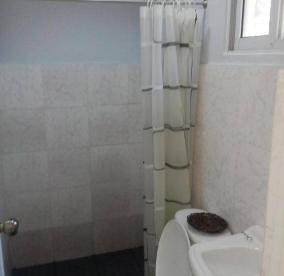 هاستل Sealey S Inn