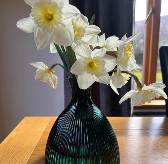 مبيت وإفطار Carn A Chuilinn House