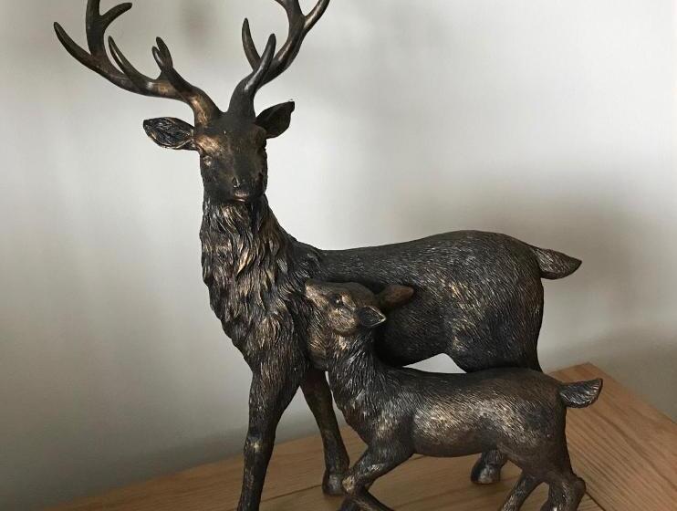 مبيت وإفطار Carn A Chuilinn House