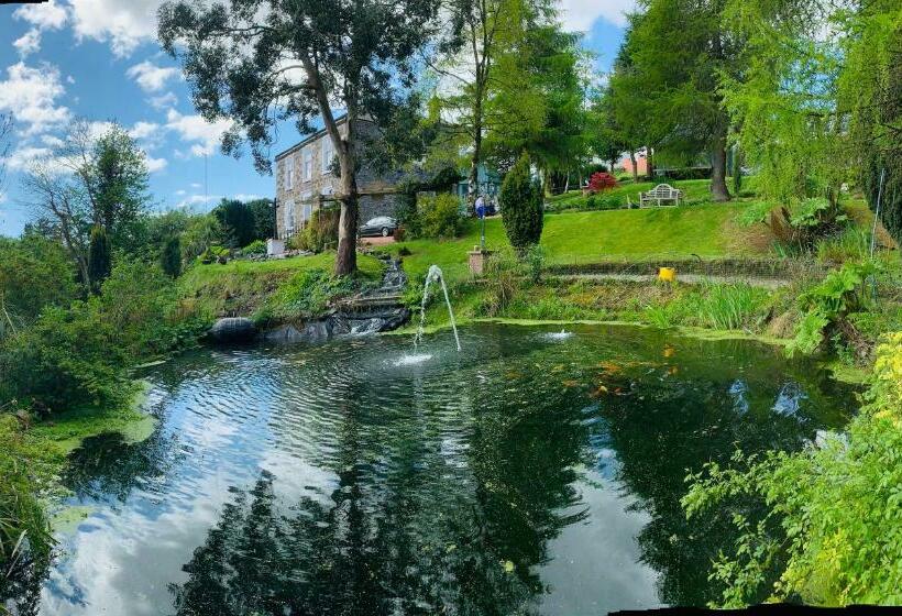 تختخواب و صبحانه Ivybank Villa