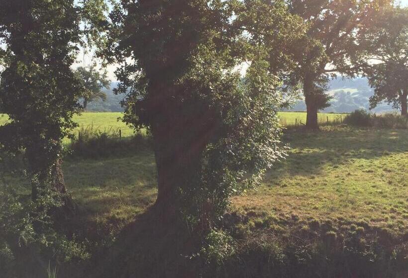 ベッドアンドブレックファースト Le Dragon Dans Les Buis