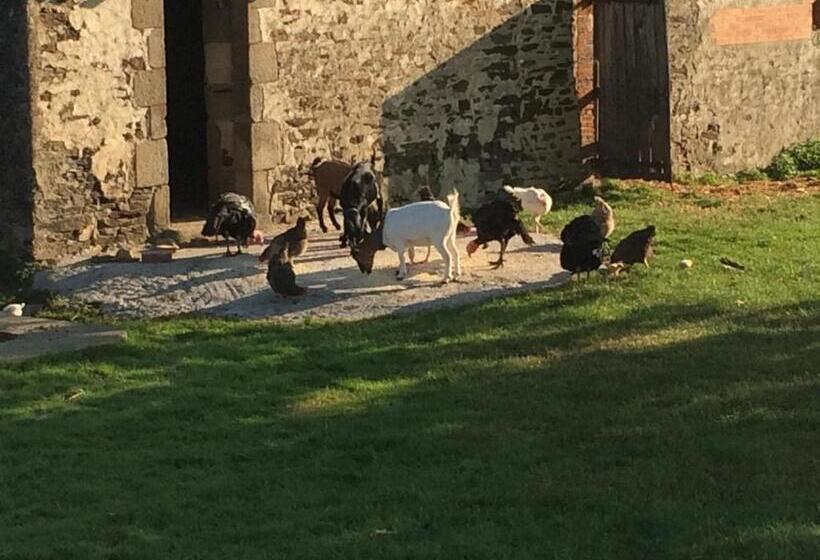 ベッドアンドブレックファースト Le Dragon Dans Les Buis