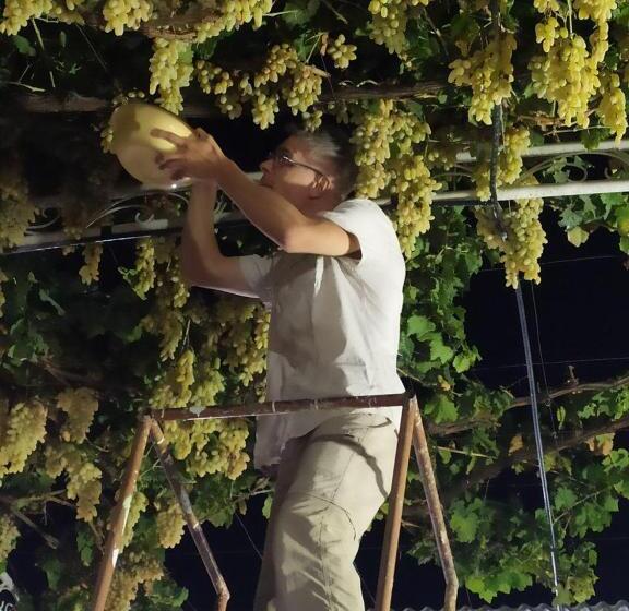 مبيت وإفطار Uvaysiy Family Guest House