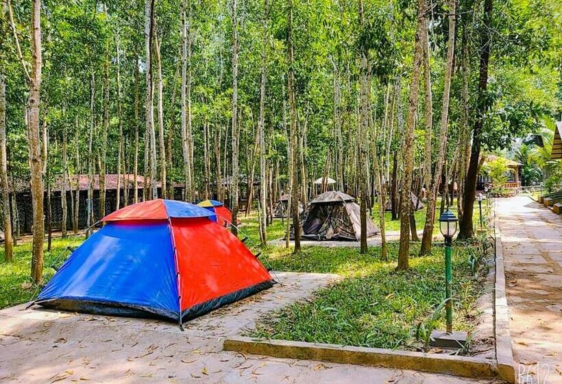 Dandeli Nature Resort