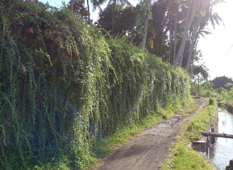 فندق Bali Livin,tayehomestay