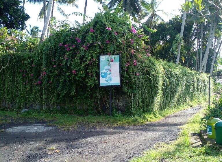 فندق Bali Livin,tayehomestay