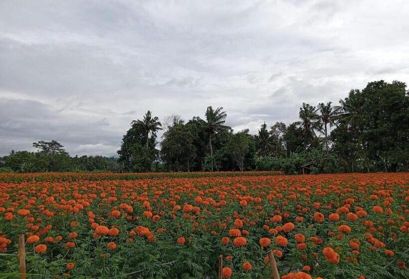 فندق Bali Livin,tayehomestay