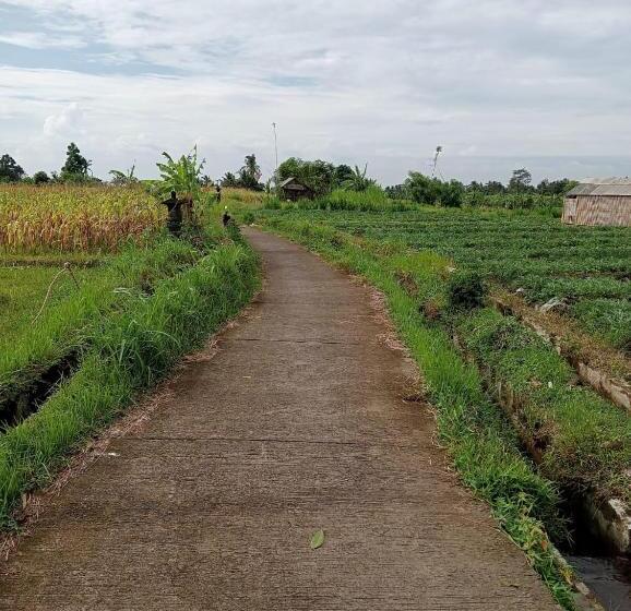 فندق Bali Livin,tayehomestay