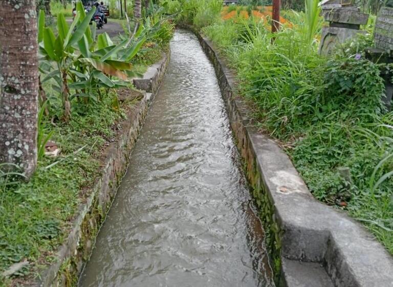 فندق Bali Livin,tayehomestay