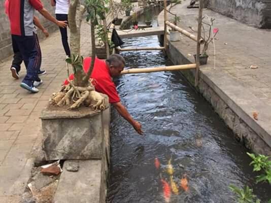 فندق Bali Livin,tayehomestay