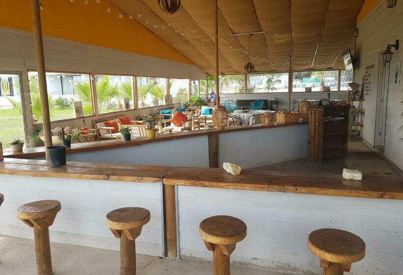 酒店 Del Valle Quilimari