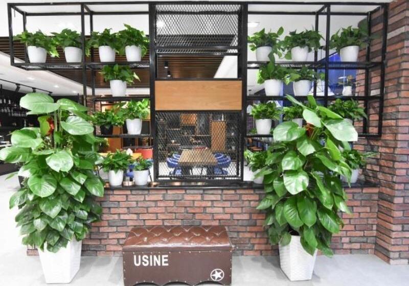 ホテル Greentree Rizhao Lanshan Coach Station