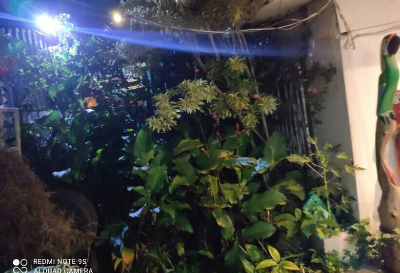 فندق Hostel Madrigala