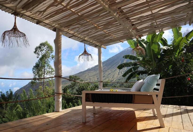 酒店 Manulalu Jungle