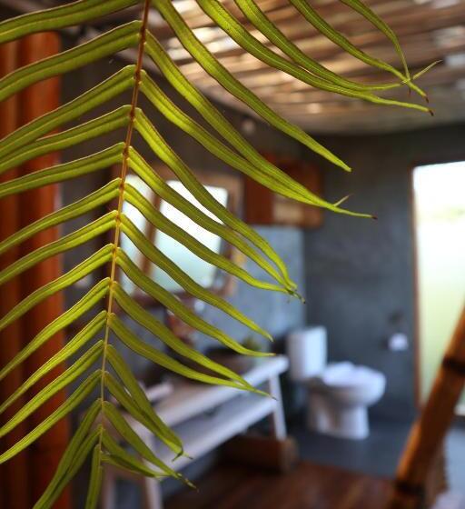 酒店 Manulalu Jungle